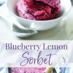 Making homemade frozen desserts that are dairy free is super easy and refreshingly delicious like this Blueberry Lemon Sorbet. 