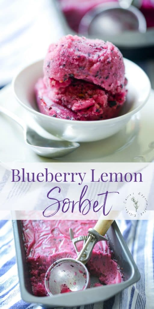 Making homemade frozen desserts that are dairy free is super easy and refreshingly delicious like this Blueberry Lemon Sorbet. 