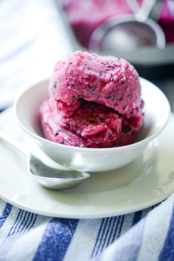 Making homemade frozen desserts that are dairy free is super easy and refreshingly delicious like this Blueberry Lemon Sorbet. 