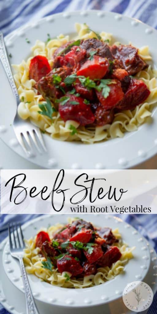 Beef Stew with Root Vegetables like parsnips, turnips and beets in a red wine, tomato based sauce is a hearty, delicious cool weather meal. 