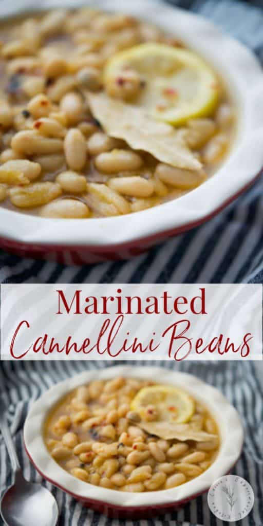 Marinated Cannellini Beans in a red dish