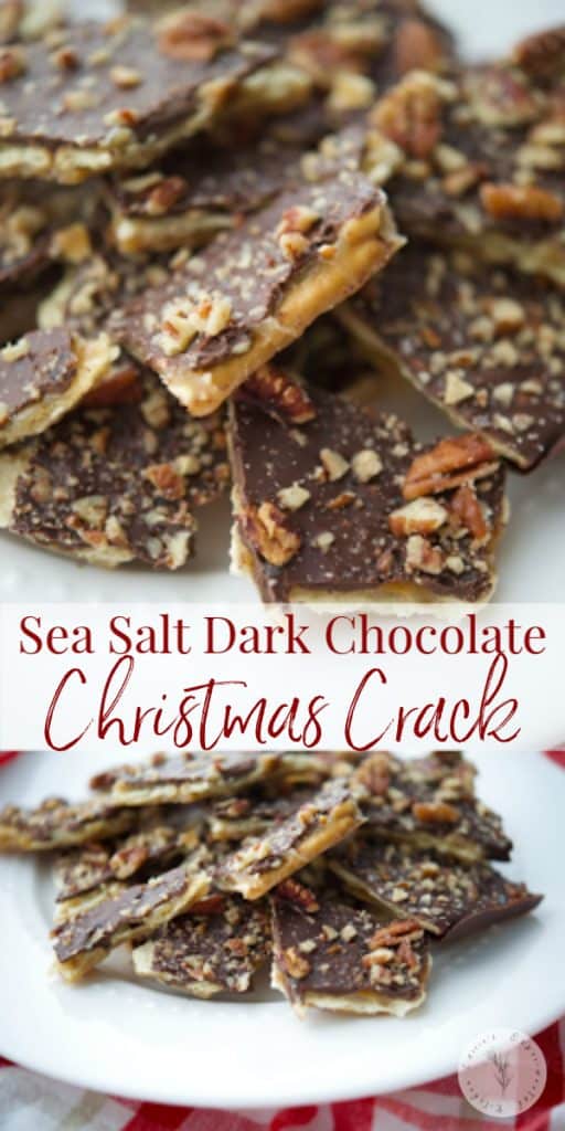 Sea Salt Dark Chocolate Christmas Crack close up on a dish