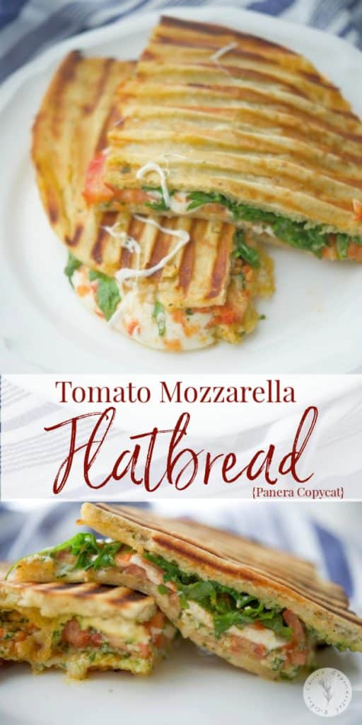 Close up of a Tomato Mozzarella Flatbread on a white plate