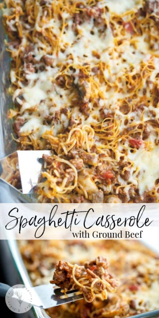 Spaghetti Casserole with ground beef