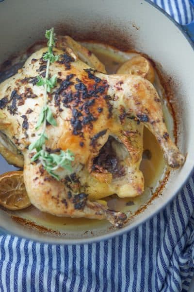 Whole roasted chicken topped with garlic, lemon zest, fresh oregano and extra virgin olive oil; then cooked in a Dutch oven.