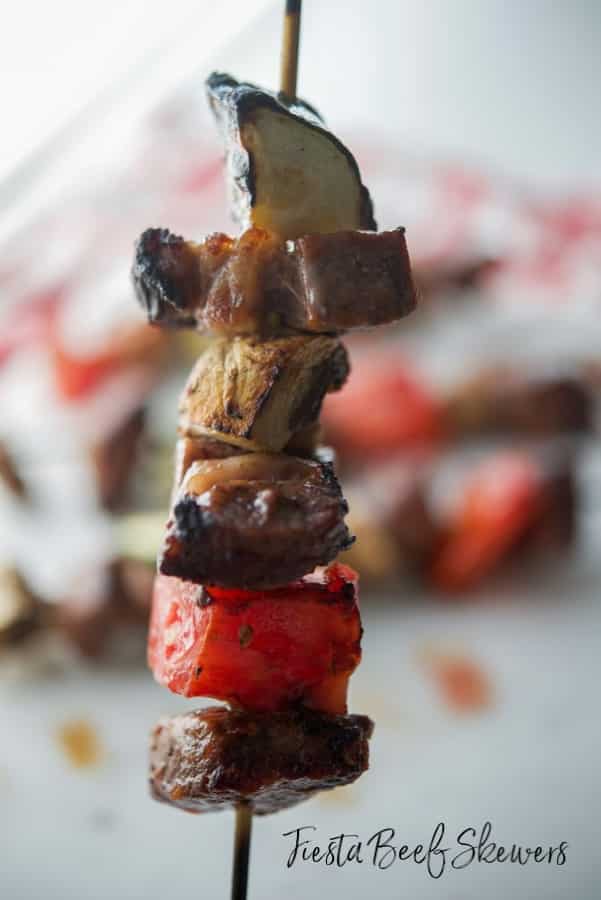 Steak on skewers with vegetables close up. 