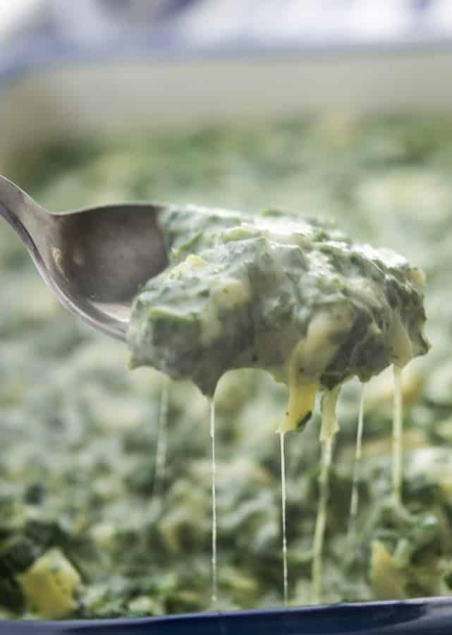 Spinach Artichoke Dip on spoon