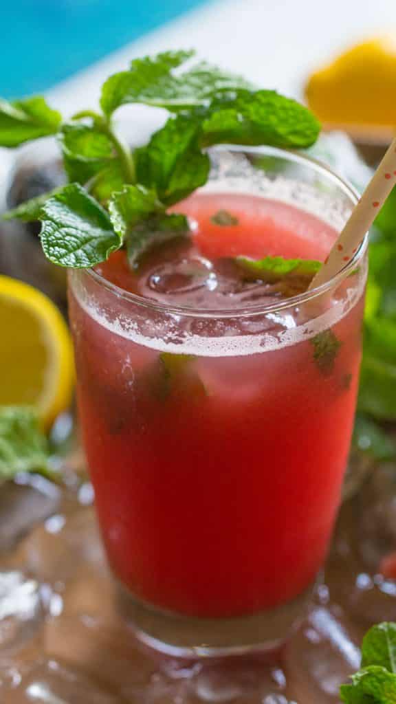 Watermelon Mojito from Sweet and Savory Meals