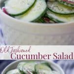 A bowl of salad, with English cucumber