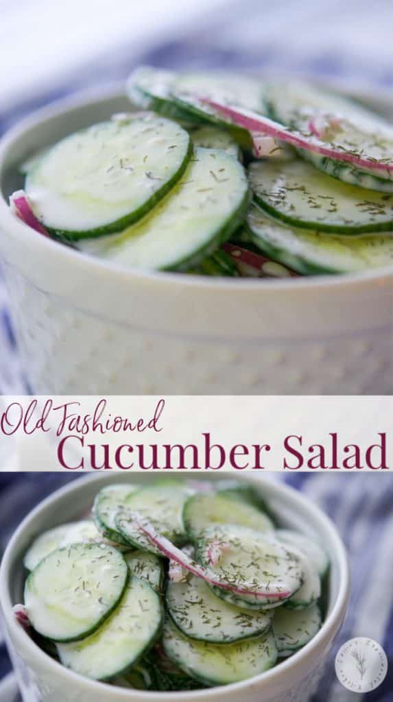 A bowl of salad, with English cucumber