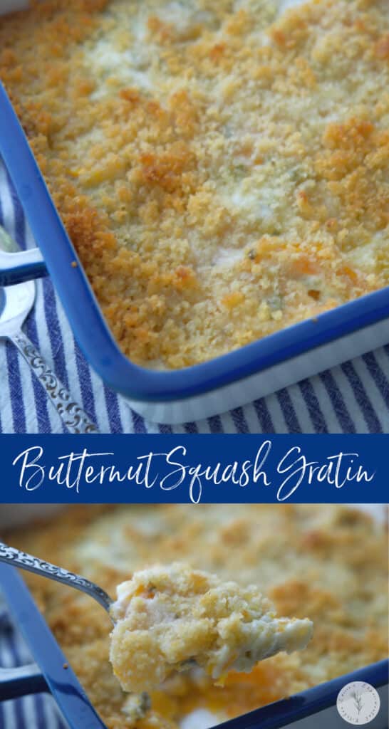 A close up of food on a blue tray, with Butternut Squash and Gratin