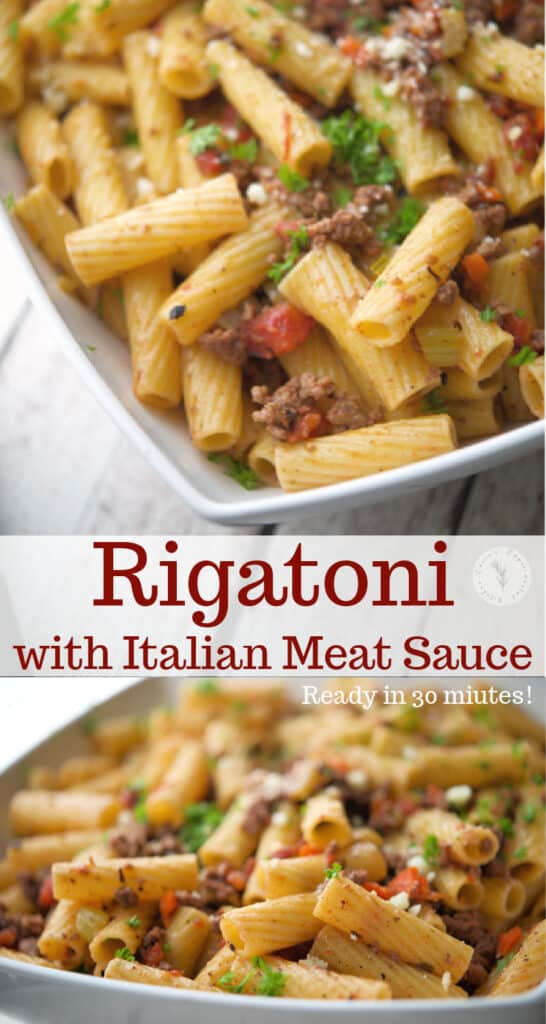 Rigatoni pasta tossed with a mirepoix of vegetables and spices in a fire roasted tomato meat sauce makes the perfect quick, weeknight meal. 