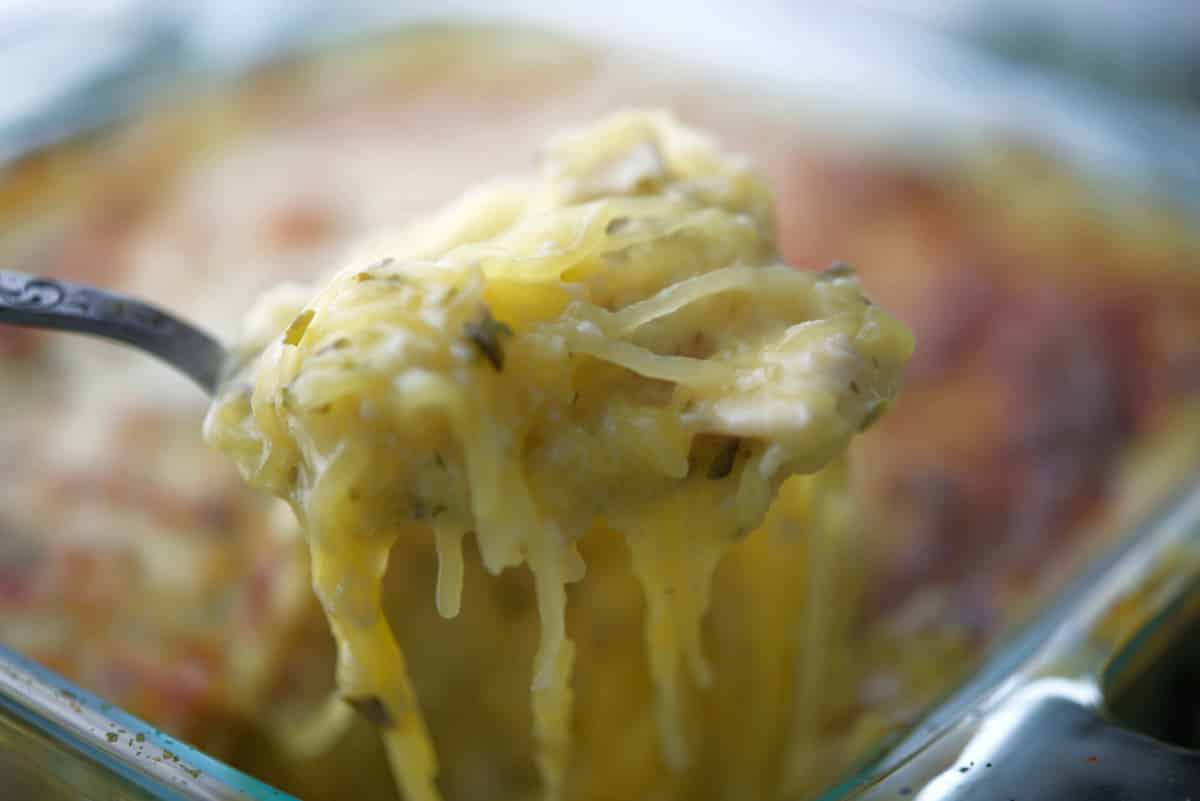 Chicken Pesto Spaghetti Squash | Carrie’s Experimental Kitchen