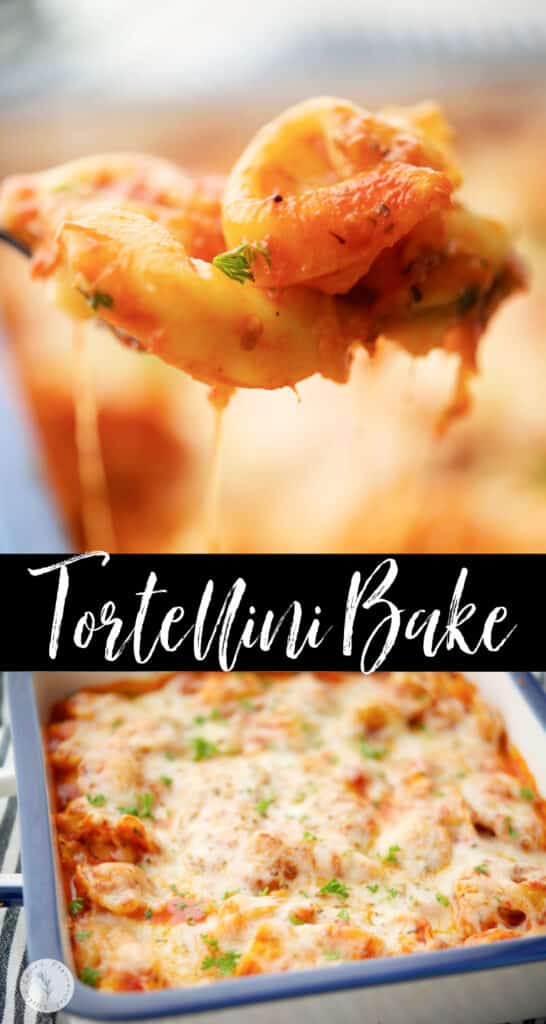 If you're looking for a super easy weeknight meal, this Tortellini Bake made with frozen cheese tortellini will be your new favorite. 
