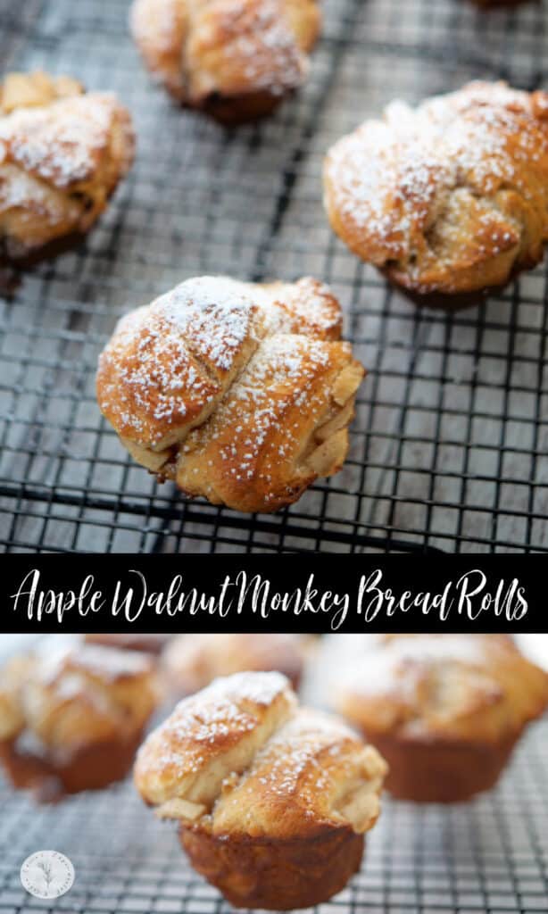 Monkey bread rolls made with fresh chopped apples, brown sugar, ground cinnamon and chopped walnuts make a tasty, sweet snack. 