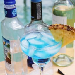 Blue White Wine Spritzer