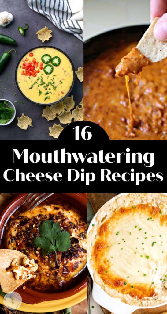 16 Mouthwatering Cheese Dip Recipes with 4 photos