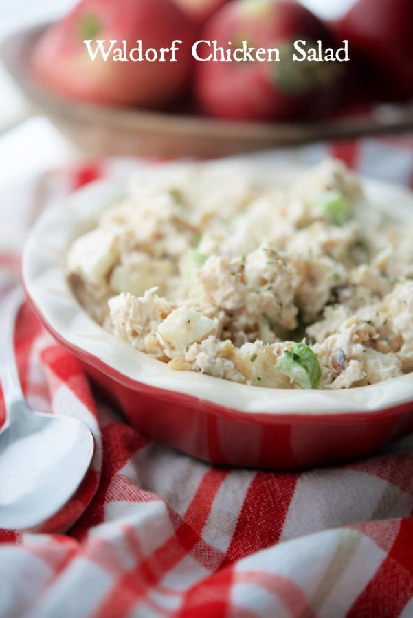 A bowl filled with chicken salad