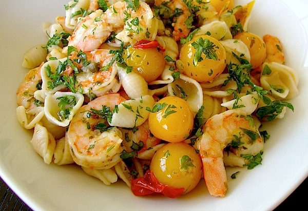 Shell Pasta Shrimp