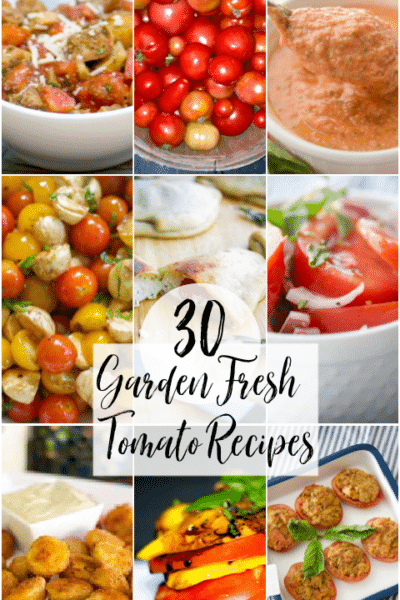 Garden Fresh Tomato Recipes