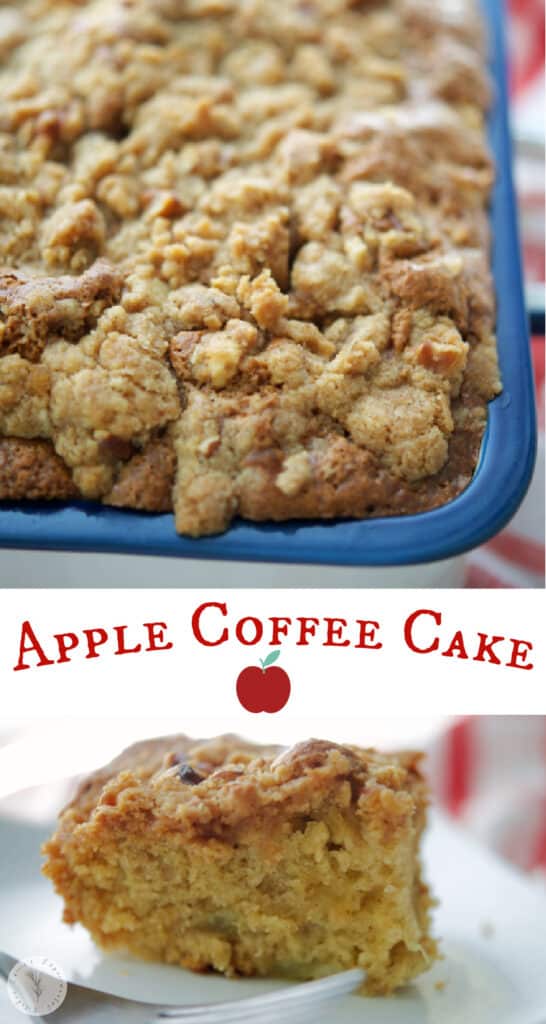 Apple Coffee Cake made with chopped apples and sour cream; then topped with a cinnamon walnut buttery topping is the perfect fall dessert. 