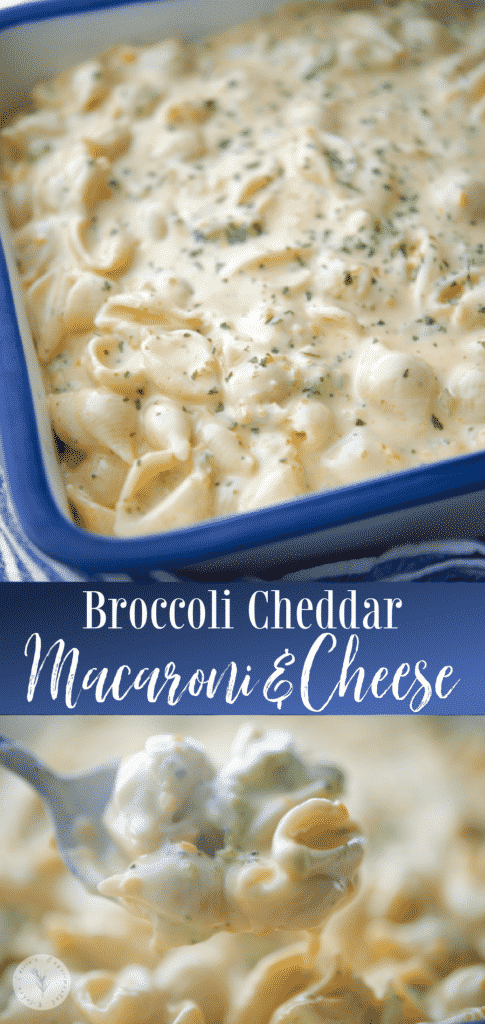Broccoli Cheddar Macaroni and Cheese is made with shell pasta in a rich and creamy sauce with broccoli and carrots. 