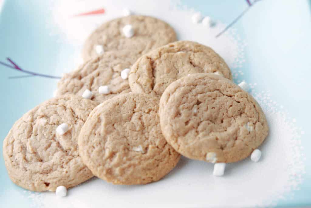 Plate of Hot Chocolate Sugar Cookies