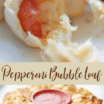 Pepperoni Bubble Loaf pull apart bread stuffed with spicy pepperoni and Mozzarella cheese; then brushed with a buttery Parmesan herb topping. 