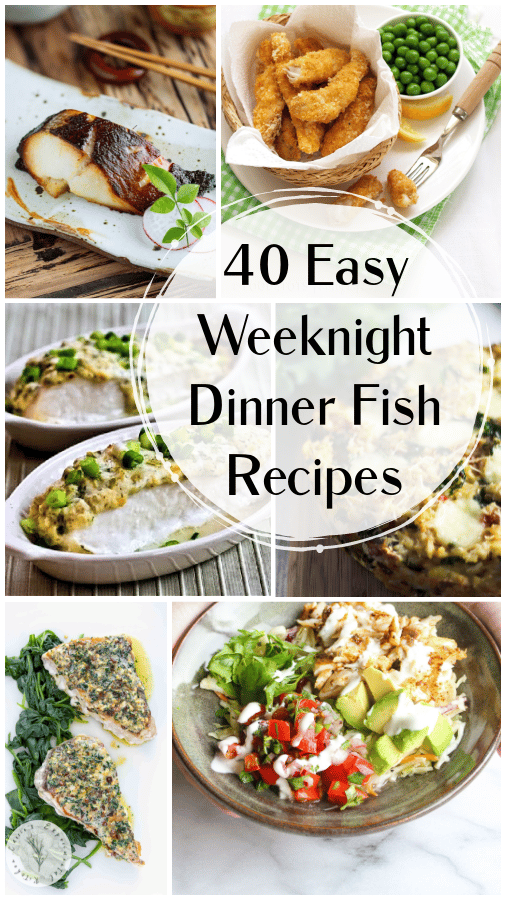 40 Fish Recipes collage