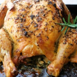 whole rosemary lemon spatchcock chicken on a sheet pan