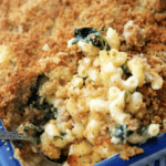 Macaroni and cheese made with sweet Italian sausage, fresh spinach and a Fontina Alfredo sauce; then topped with buttery Italian breadcrumbs. 