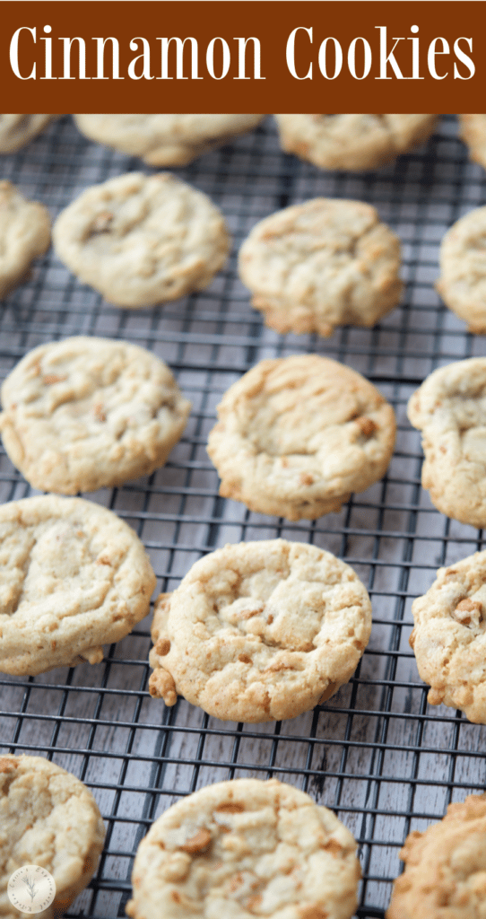 Crispy Cinnamon Chip Cookies