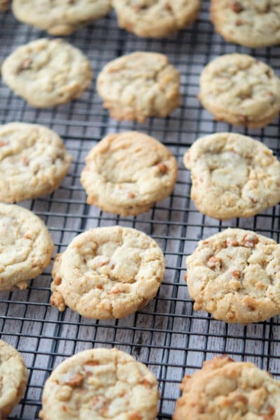 Rows of cinnamon cookies on a cooling rack.