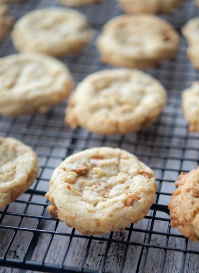 A row of cinnamon cookies on a cooking rack.