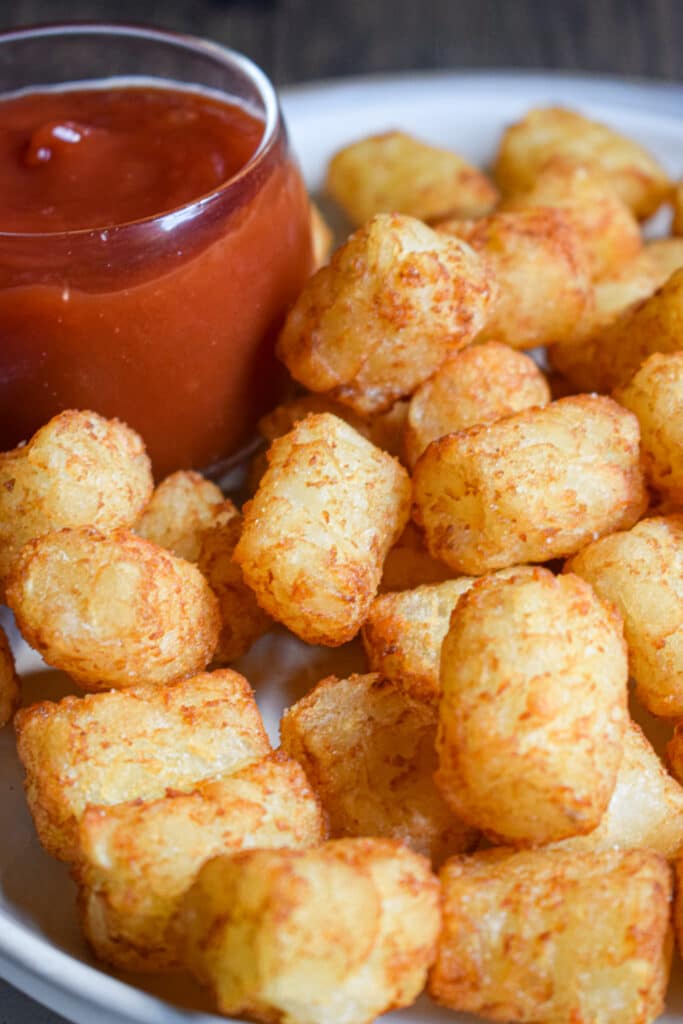 air fryer tater tots with ketchup on a plate