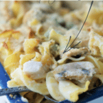 Chicken Stroganoff Bake close up