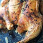 A spatchcock roasted chicken on a sheet pan