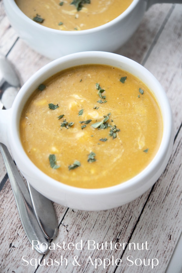 Squash soup in a white soup bowl