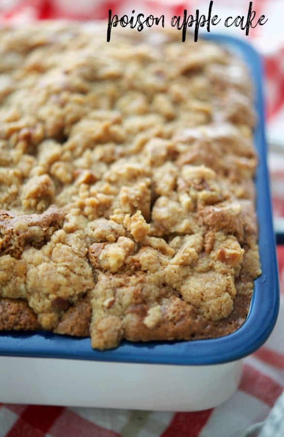 Apple Coffee Cake in a white blue dish