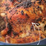 Cooked whole roasted chicken oreganata in a blue dutch oven