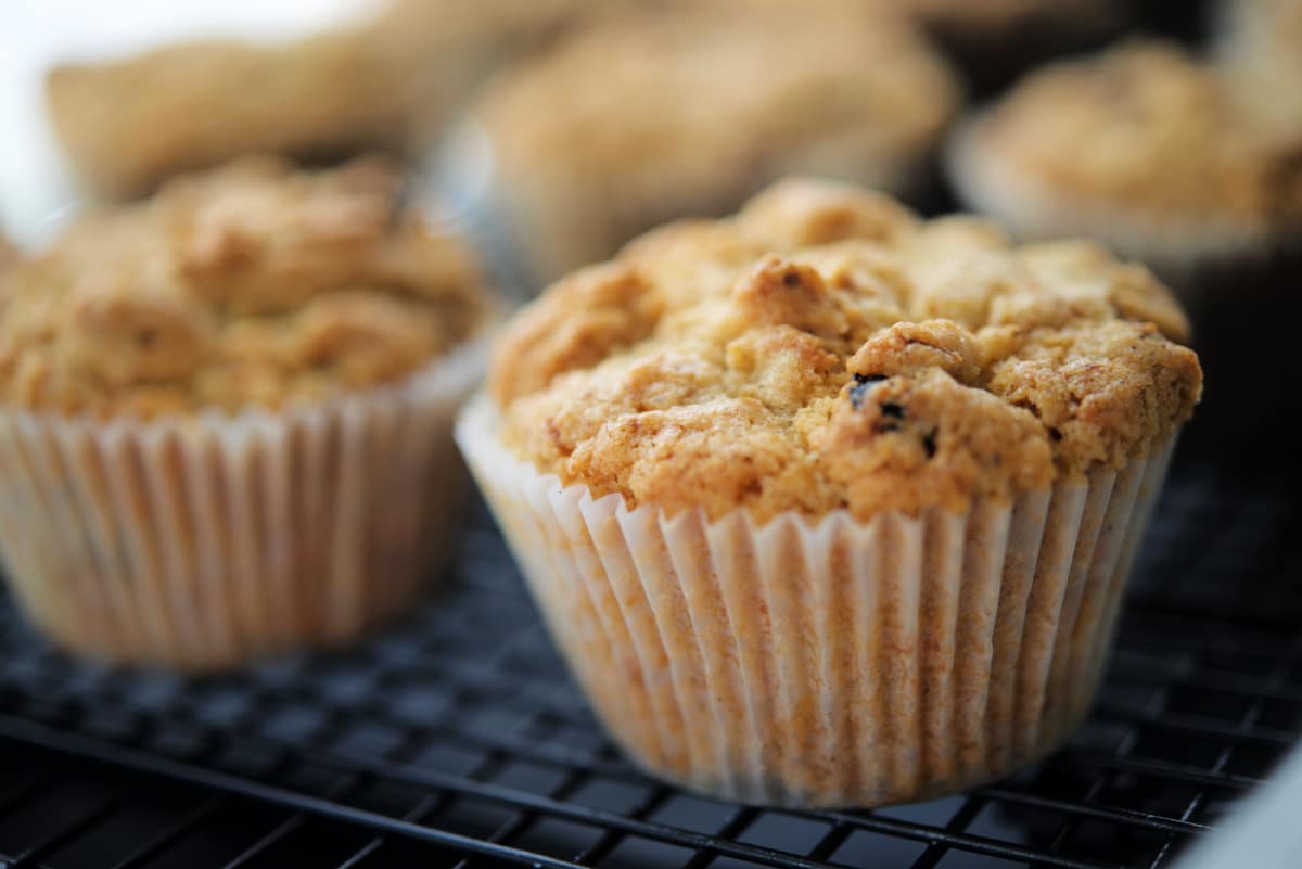 a close up of a carrot raisin muffin