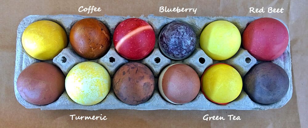 fruit and veggie dyed eggs