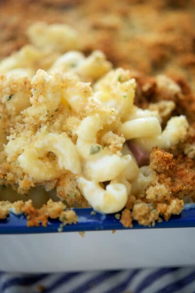 a close up of fontina mac and cheese with ham