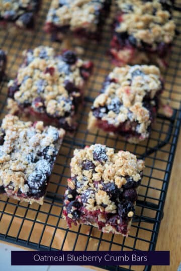 Oatmeal Blueberry Crumb Bars | Carrie’s Experimental Kitchen