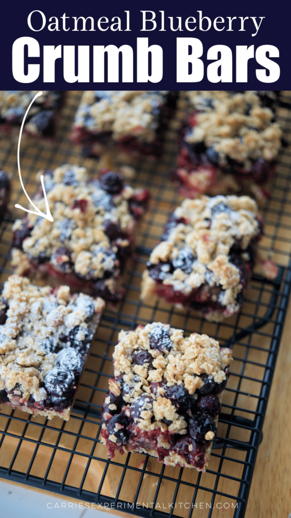 oatmeal crumb bars with blueberries