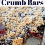 blueberry oatmeal crumb bars in a pan