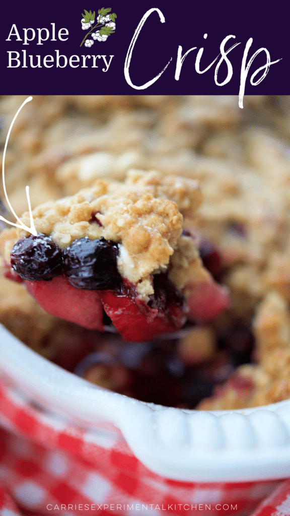 apple blueberry crisp in a white dish on a spooon