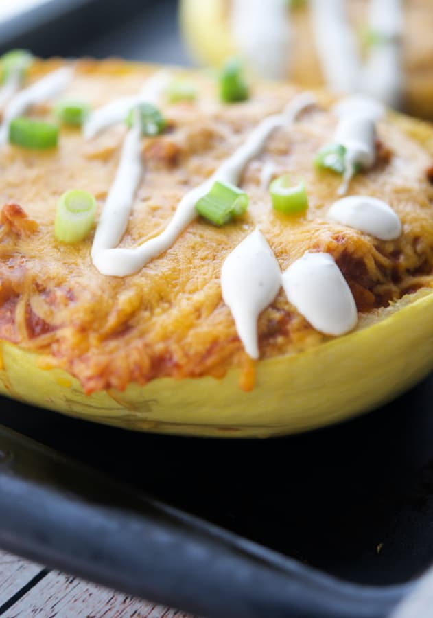 a close up of bbq pork spaghetti squash on an angle