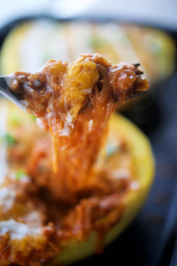 bbq pork squash on a fork