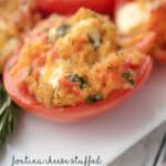 a close up of roma tomato with cheese